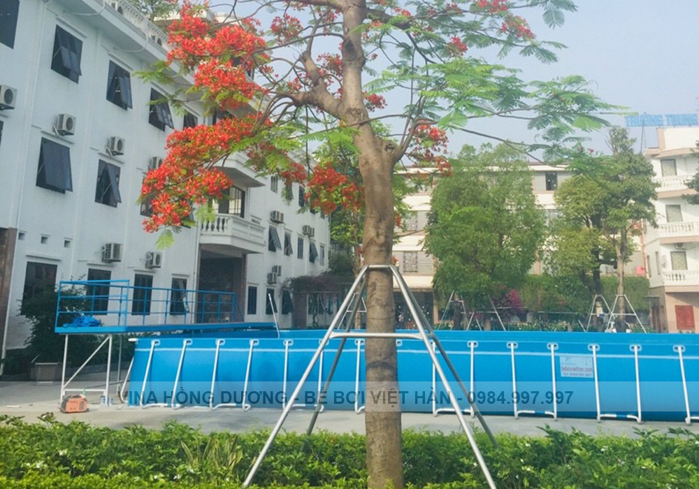 Top 5 Lý Do Trường Học Nên Có Bể Bơi Cho Học Sinh